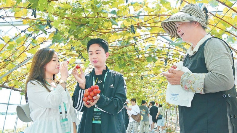 [국민의 기업] 배·포도 맛본 아세안 인플루언서, K과일 매력 알린다