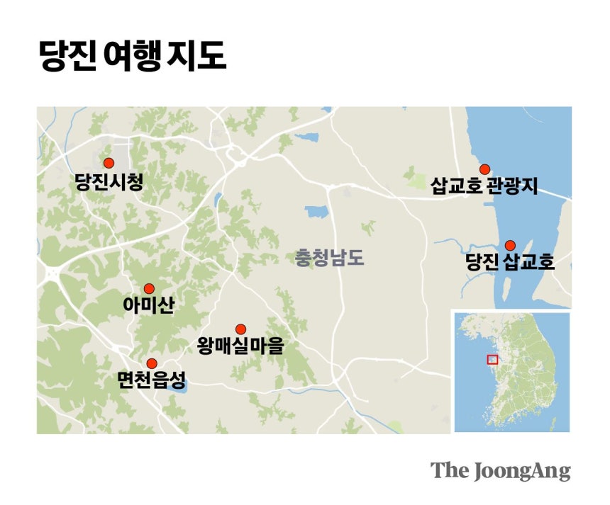 김영희 디자이너