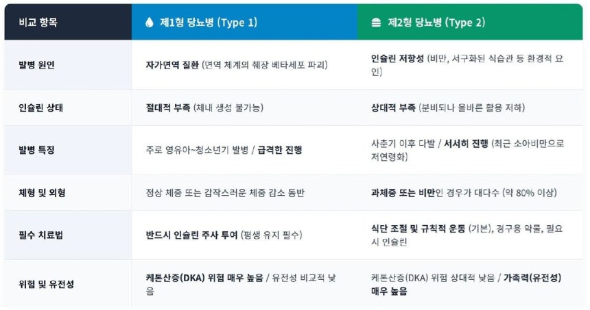 1형 당뇨병과 2형 당뇨병 비교.사진 질병관리청