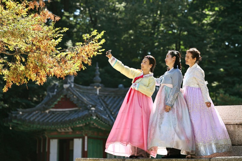 [한 컷] 단풍은 조연