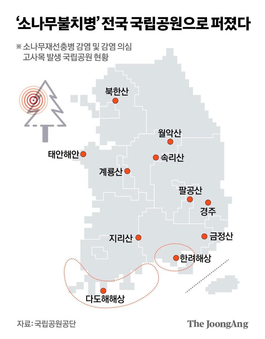 정근영 디자이너