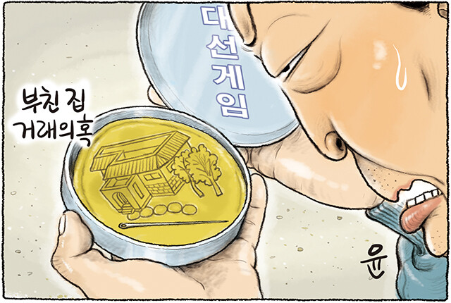 기사 본문 보기