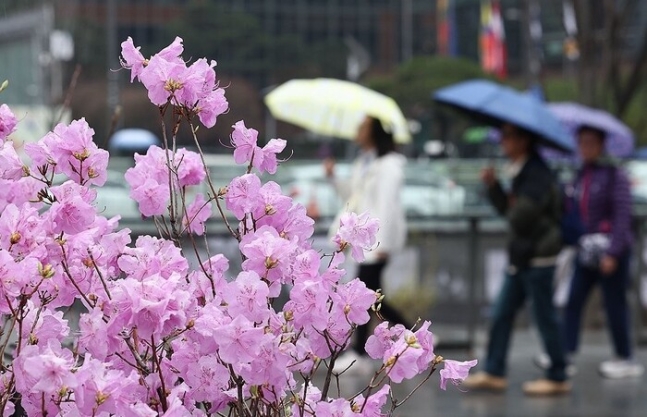 봄비가 내린 지난달 28일, 서울 광화문광장에서 시민들이 우산을 쓰고 걸어가고 있다. 연합뉴스