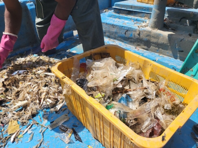8일 인천 강화군 더리미포구에 정박한 꽁당배에서 어민이 잡아 올린 새우에 섞여 있는 한강 하구 쓰레기를 분류하고 있다. 이승욱 기자