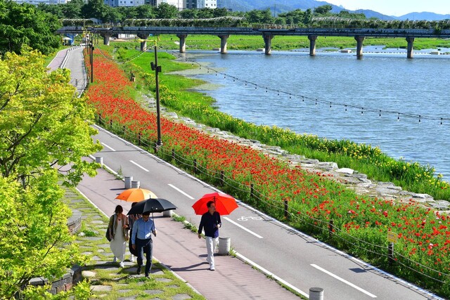 20일 전남 장성군 황룡강변에 다양한 봄꽃이 만개했다. 장성군은 오는 24~26일 황룡강 길동무 꽃길축제를 개최한다. 연합뉴스