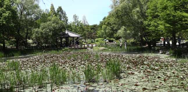 전주수목원에 있는 연못. 박미향 기자