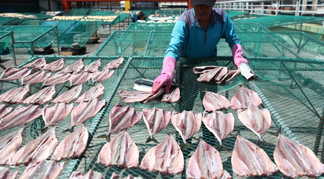 ‘고흥전통시장’ 옥상에 있는 망을 이용해 생선을 말리는 상인. 박미향 기자