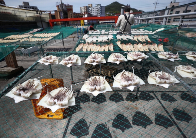 ‘고흥전통시장’ 옥상에 있는 망을 이용해 생선을 말리는 상인. 박미향 기자