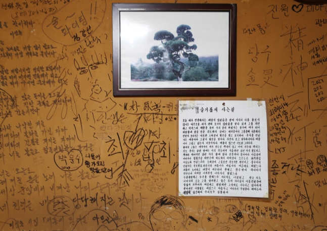 ‘도라지식당’의 실내. 허름한 벽에 손님들의 낙서가 가득하다. 박미향 기자
