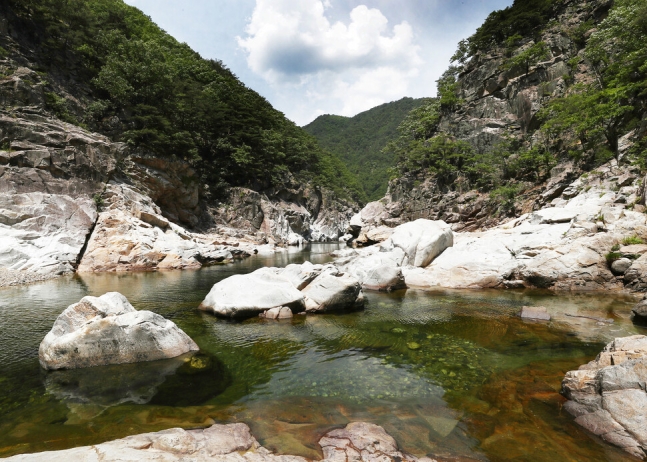 환경부가 ‘생태경관보전지역’으로 지정한 왕피천 일대. 박미향 기자