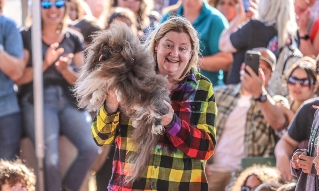 올해 가장 못생긴 개를 뽑는 대회에서 8살 페키니즈 종 ‘와일드 탕’이 우승했다. 대회 인스타그램 갈무리