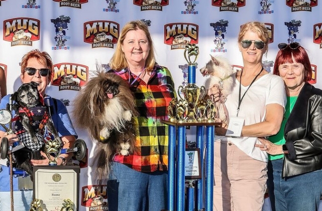 올해 가장 못생긴 개를 뽑는 대회에서 8살 페키니즈 종 ‘와일드 탕’이 우승했다. 대회 인스타그램 갈무리
