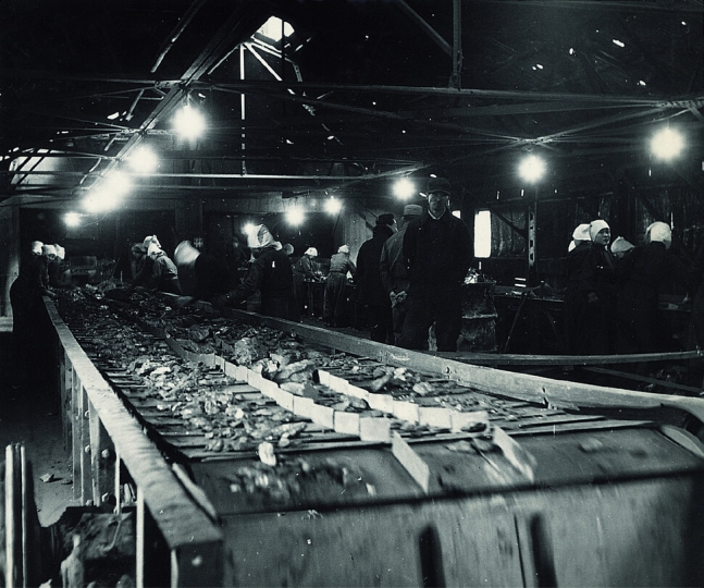 1960년대 장성광업소 선탄장에서 노동자들이 작업하는 모습. 대한석탄공사 제공