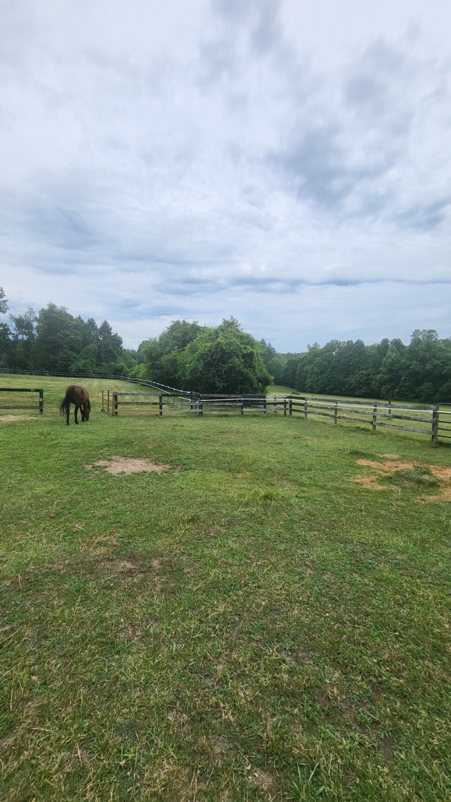 목초지가 있는 미국 메릴랜드의 시골 풍경. 말이 풀을 뜯어먹고 있다.