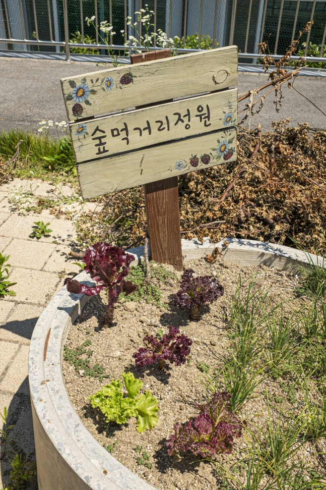 저전마을 ‘숲먹거리정원’에는 다양한 푸성귀가 자란다.