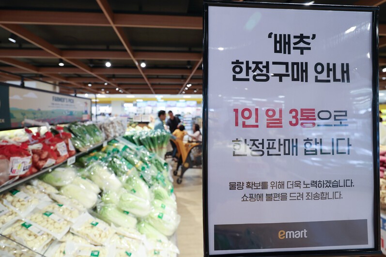 “<b>중국산</b> <b>배추</b> 총 1100톤 수입”…<b>배추</b> 가격 잡힐까?