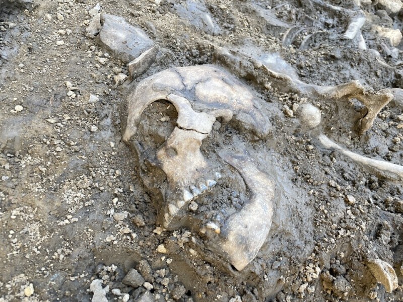 역사에 묻혔던 1200년 전 진주 학살, 21세기에 드러나다