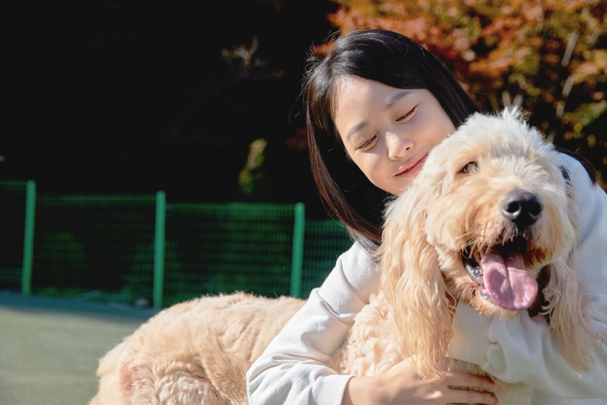 제21대 대통령선거를 앞두고 이재명(더불어민주당), 김문수(국민의힘) 후보가 21일 나란히 동물 관련 공약을 내놨다. 게티이미지뱅크