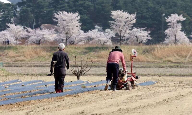 농업 현실 반영 못하는 ‘농가경제조사’ 재설계해야 [왜냐면]