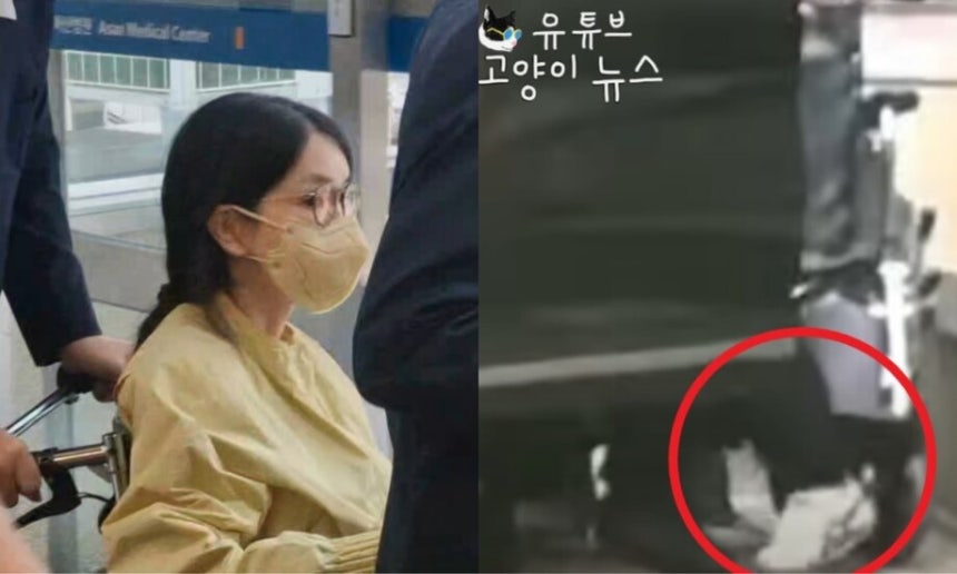 (왼쪽) 특검 수사를 앞두고 우울증 등을 이유로 입원했던 김건희씨가 27일 서울 송파구 서울아산병원에서 윤석열 전 대통령이 미는 휠체어에 탄 채 퇴원하고 있다. 오른쪽은 유튜브 채널 ‘고양이 뉴스’가 포착한 휠체어에