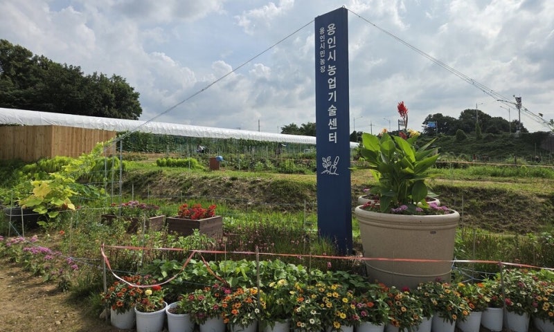 용인시, 전직 시의원 소속 단체에 ‘4대 1 경쟁률’ 시민농장 무상 제공