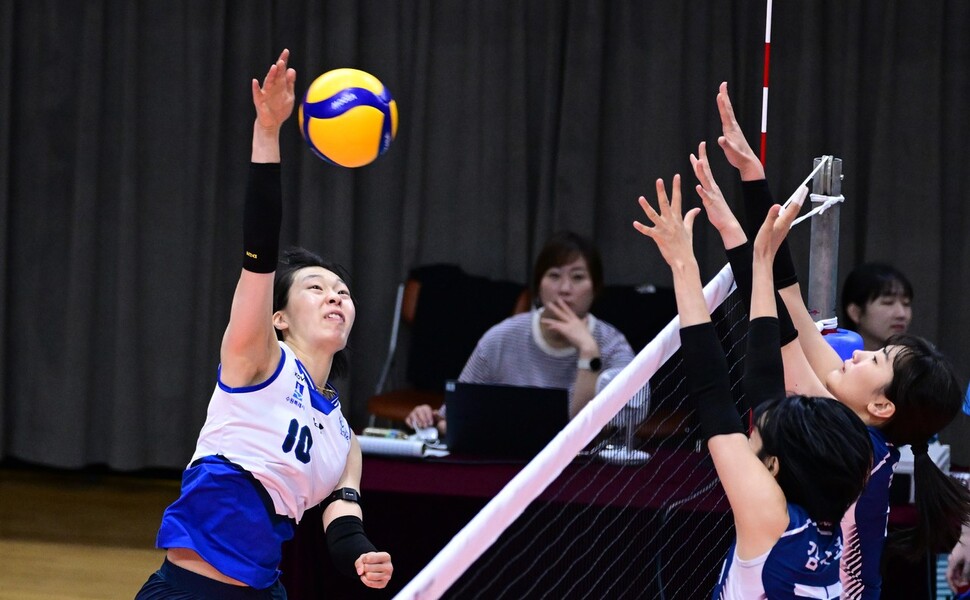 막 오른 배구 프로팀 유망주·실업팀 챔프전…마지막에 누가 웃을까