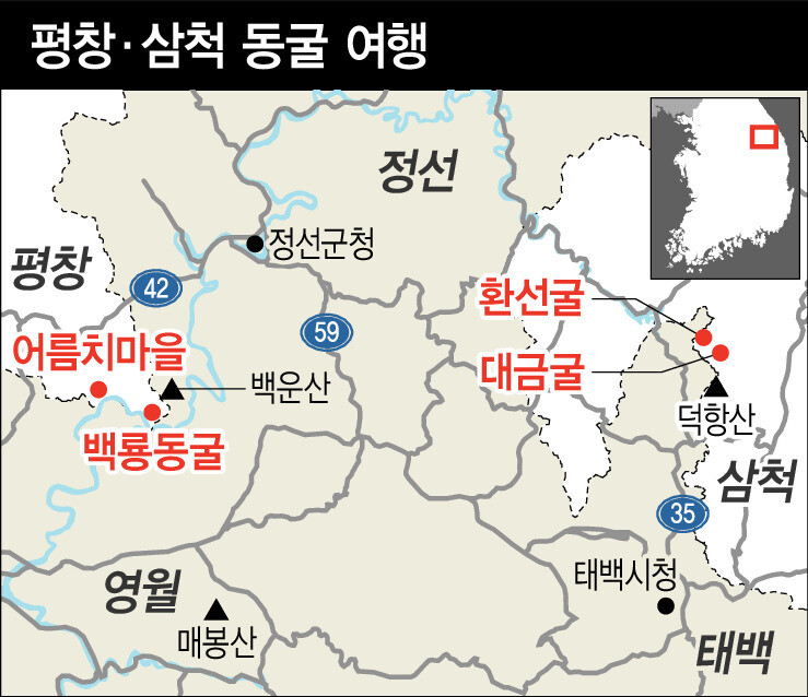 성기령 기자
