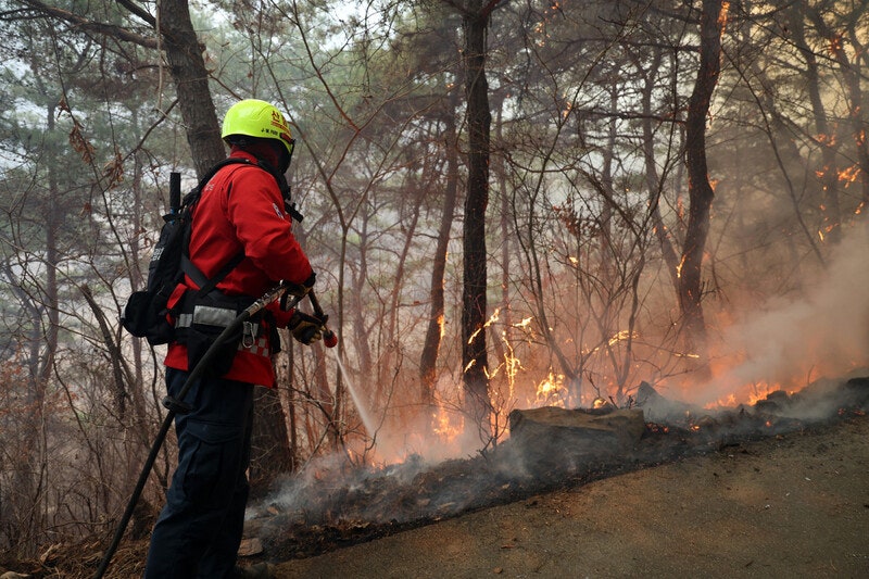 산불 끄는 진화대원 향한 관심은 꺼지지 않았으면 [6411의 목소리]
