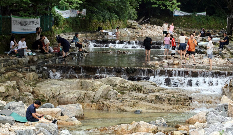 휴가철 계곡의 어떤 노동 [서울 말고]