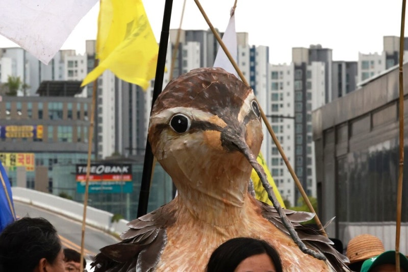 사람도 새도…모든 생명이 함께 사는 사회 [옵스큐라]