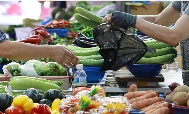 ‘월 최대 10만원’ <b>상생페이백</b>, 신청 첫 주에 643만명 몰렸다