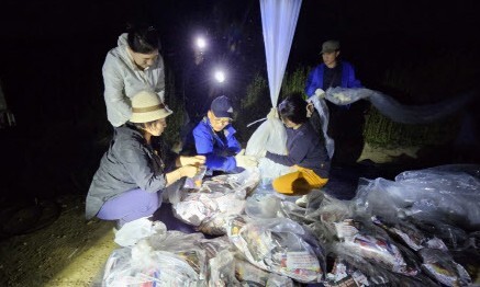 지난해 6월 민간단체 ‘겨레얼통일연대’가 대북전단을 날리고 있다. 연합뉴스