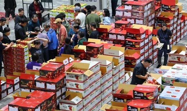 기업 절반 이상 “추석 때 7일 쉰다”…상여금 주는 곳은 소폭 줄어