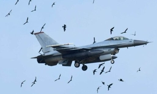 무시하고 축소했다…‘국토부의 자업자득’ 새만금공항 취소 판결