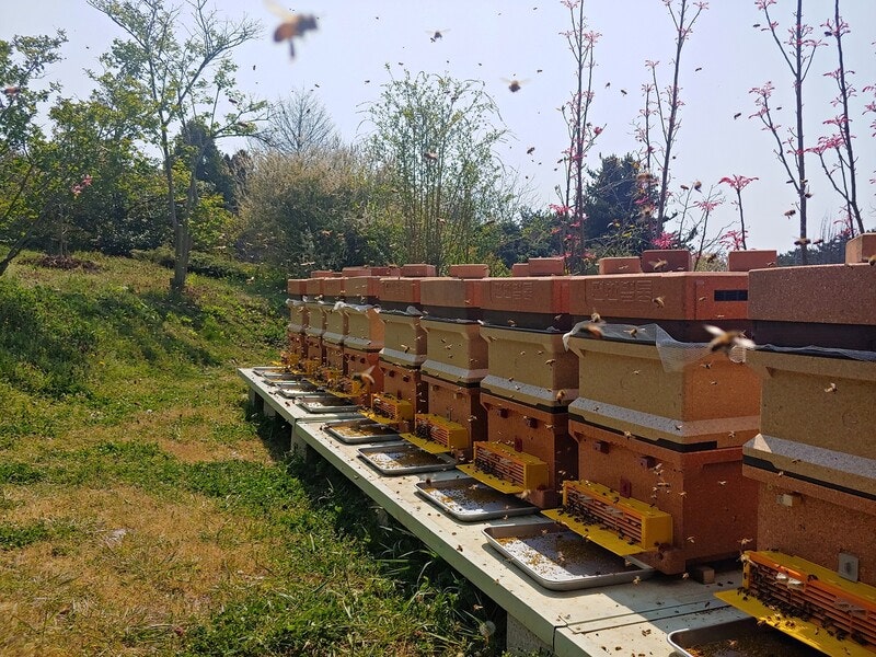 불의에 저항하는 꿀벌…그들과 연대하다 [6411의 목소리]