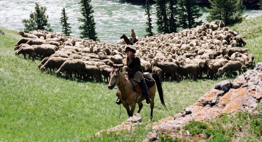 경관은 멀리서 바라보는 대상이 아니라, 그 속에서 부딪히며 살아가는 삶의 방식이다.<BR> 영화 ‘브로크백 마운틴’의 한 장면