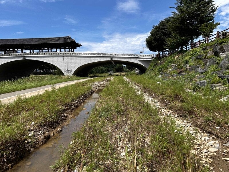 예산도 없이 알아서?…11월에 꽃 심으란 전주시장 지시에 공무원 ‘황당’