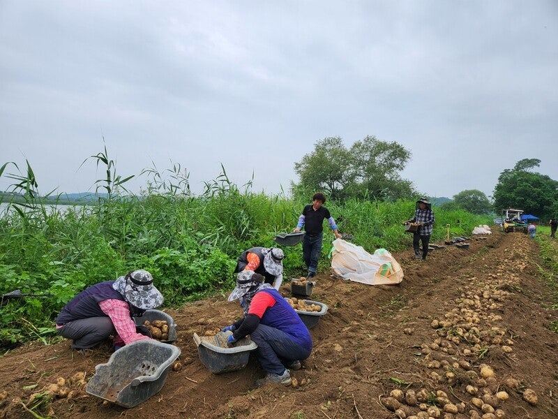 ‘아프면 쉴 권리’ 농민은 언제쯤? [6411의 목소리]