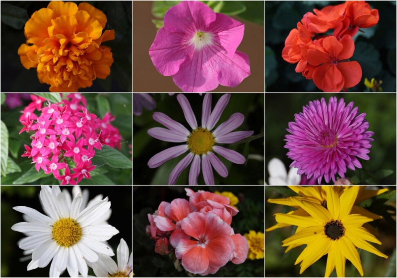 가을엔 한눈팔지 마 [포토에세이]