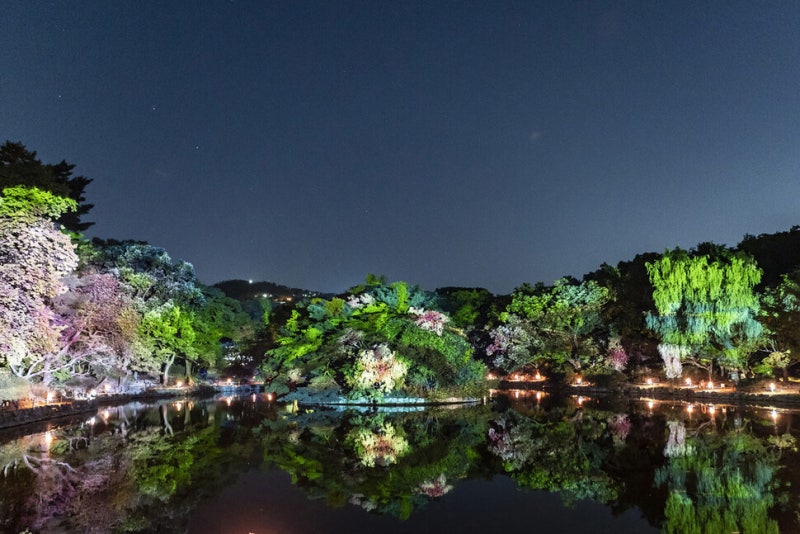 ‘케데헌’ 까치와 호랑이 만나러 갈까…가을 단풍길 따라 우리 역사 여행