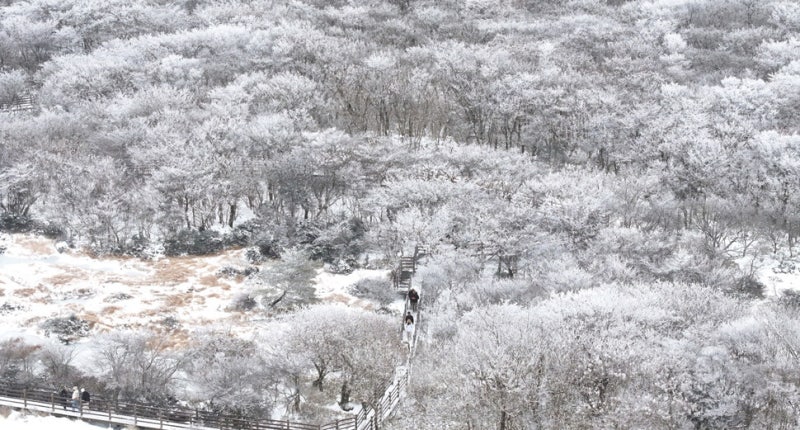 <b>서울</b>·인천·경기·강원 <b>대설주의보</b>…퇴근길 안전 유의해야