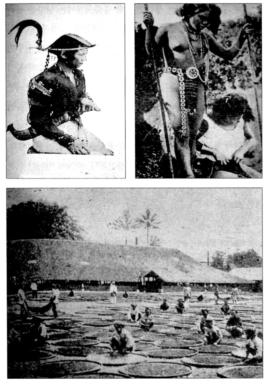 남방에 대한 이국적 취향을 담은 시에서 자주 발견되는 “벌거벗은 검둥이 여인아” 같은 표현은 남방 종족지가 그려낸 남방 여인에 대한 이미지에서 비롯됐다‘대동아 민족지’(동아경제간담회 엮음,1943).갈무리 제