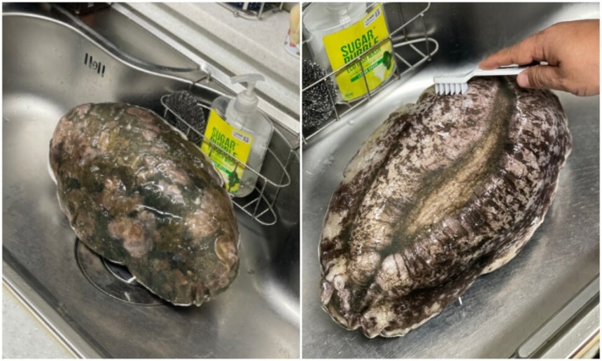 고향사랑e음 누리집 갈무리