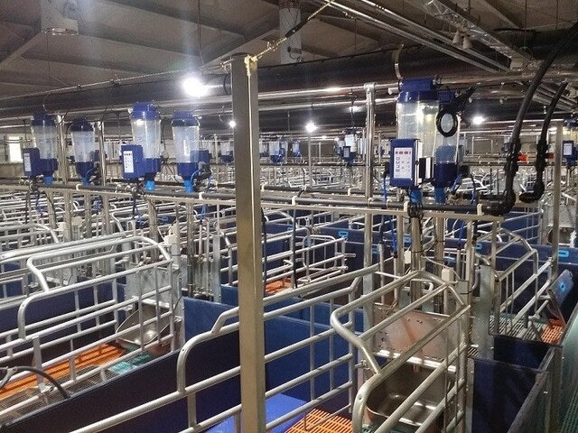 가축 분뇨 관리도 정보통신기술로…전남도 스마트 축산 농가 모집