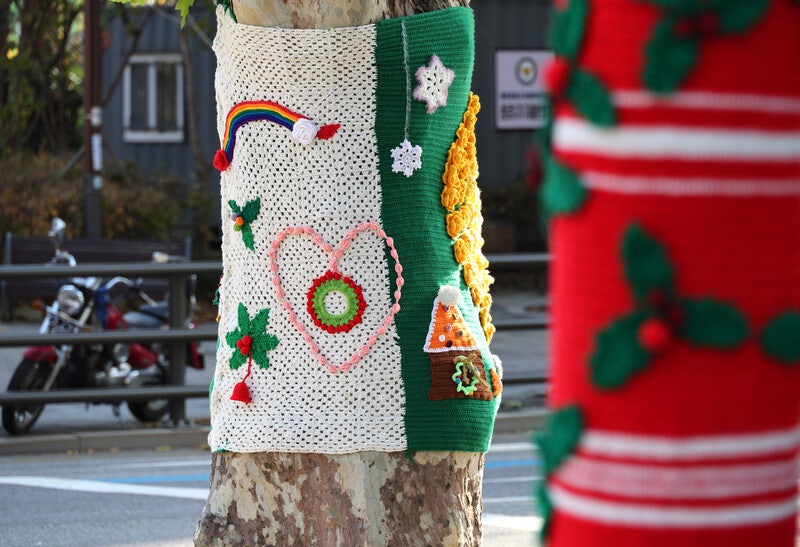 보는 사람 마음도 ‘따뜻’…뜨개옷 입은 겨울나무 [포토에세이]