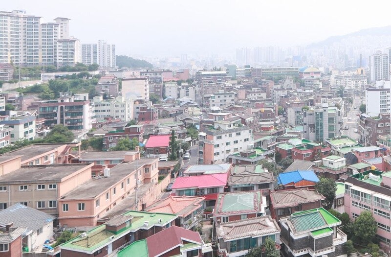 내년 표준 단독주택   공시가격 2.51%·표준지 3.35% 올라