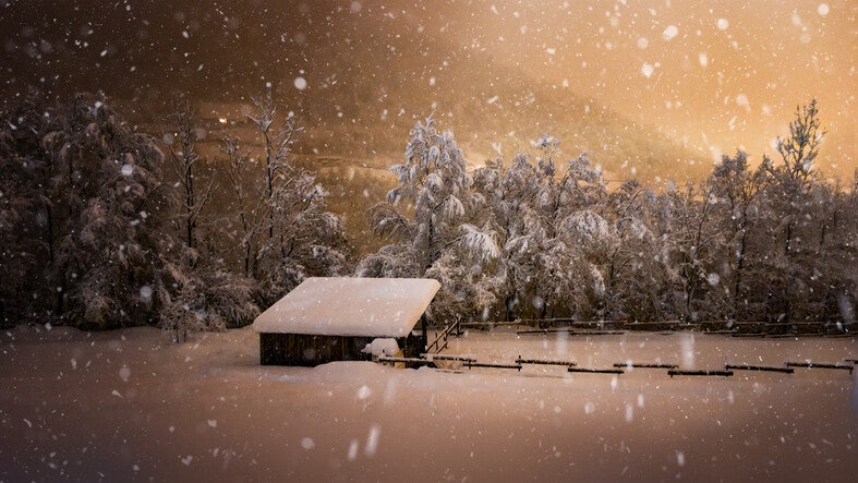 색채찬란의 이면, 단어의 빈자리들 [크리틱]