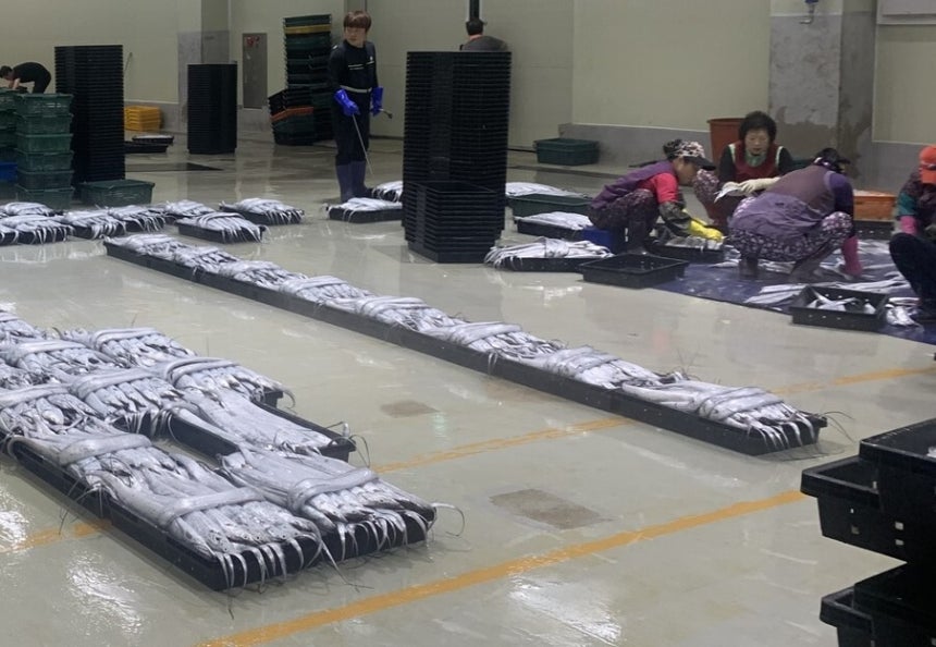 어민이 “대신 팔아달라”고 수협에 위탁해서 파는 위판장의 풍경.도하씨가 근무하는 수협에서는 은행 지점,판매장,위판장,배에 기름을 주거나 물품을 판매하는 사업장 등의 부서도 운영 중이라고 한다.본인 제공