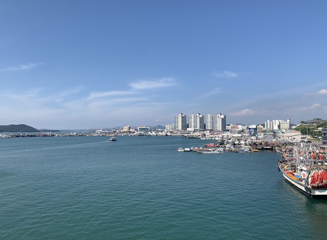 항구 도시의 모습.연안항에 정박한 배들 대부분은 수협 조합원들이 조업에 사용하는 배다.본인 제공
