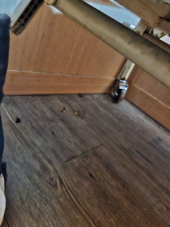 울산 반구대병원 병실 내 침대.프레임이 녹슬어 있다.제보자 제공